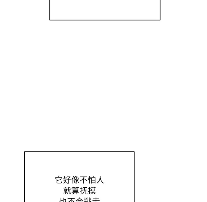 漫画《喵来的恋爱》第1话第84张图