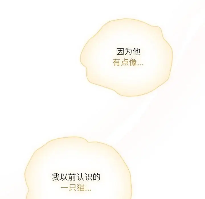 漫画《喵来的恋爱》第19话第72张图