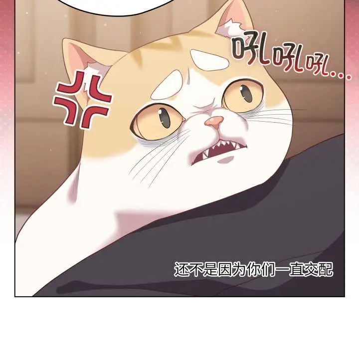 漫画《喵来的恋爱》第38话第125张图