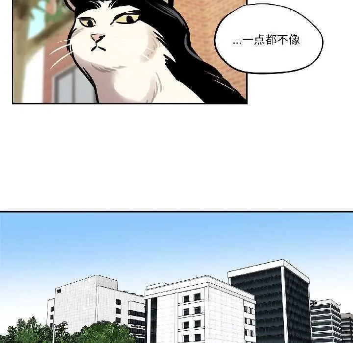 漫画《雪人》第33话第33张图