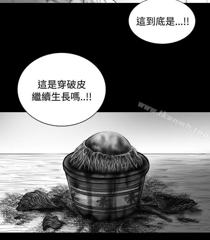 漫画《SEED The Beginning》第15话第2张图