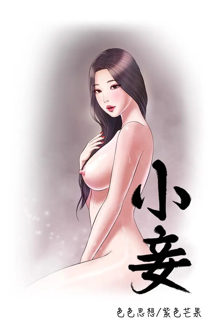 漫画《小妾》第54话第2张图