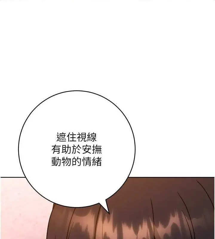 漫画《练爱选择题》第41话第82张图