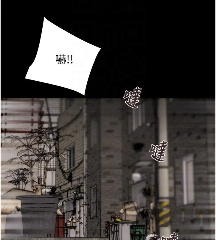 漫画《掠夺行动》第53话第115张图