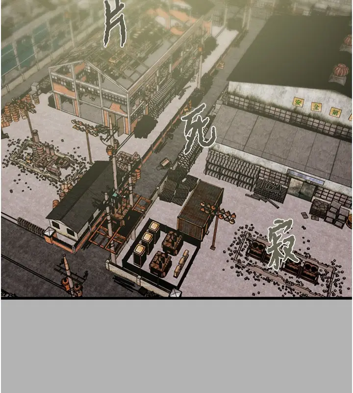 漫画《掠夺行动》第66话第17张图