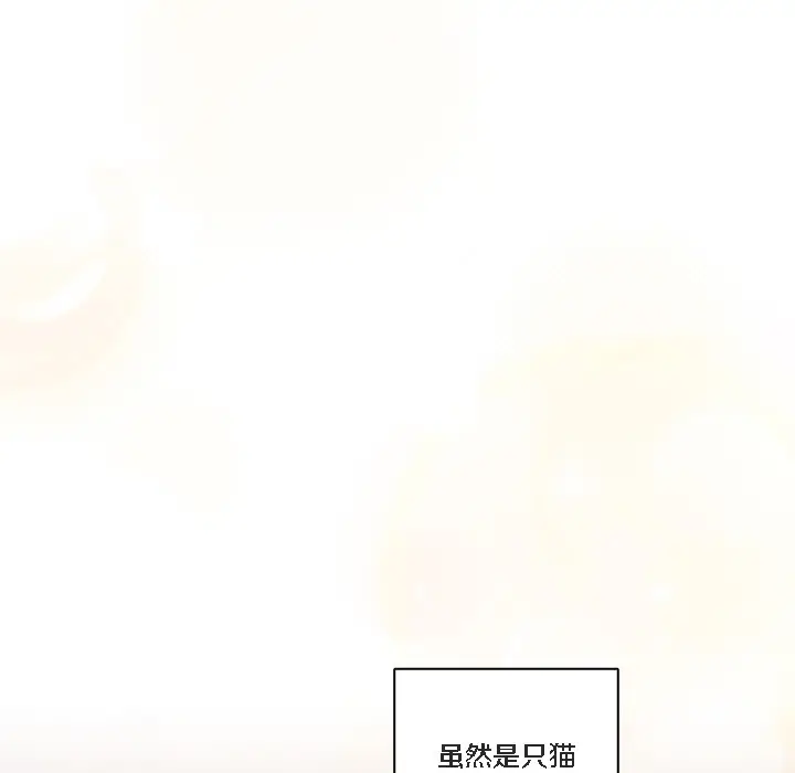 漫画《猫猫牵红线》第1话第121张图