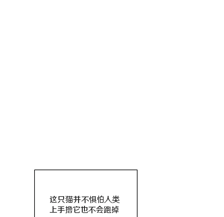 漫画《猫猫牵红线》第1话第81张图