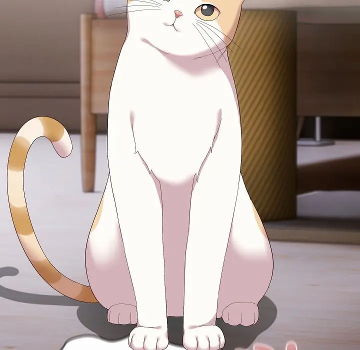 漫画《猫猫牵红线》第2话第207张图