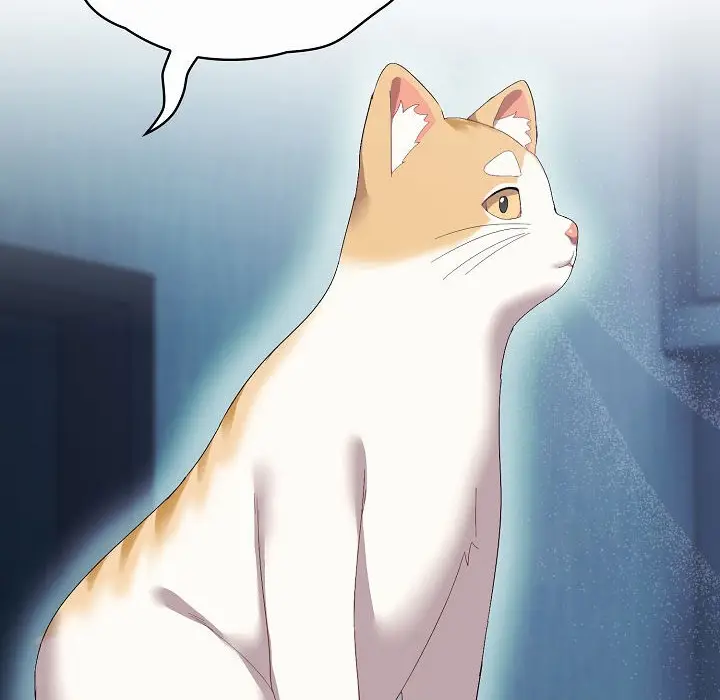 漫画《猫猫牵红线》第2话第70张图