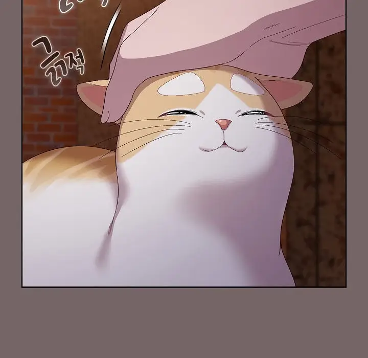 漫画《猫猫牵红线》第3话第88张图
