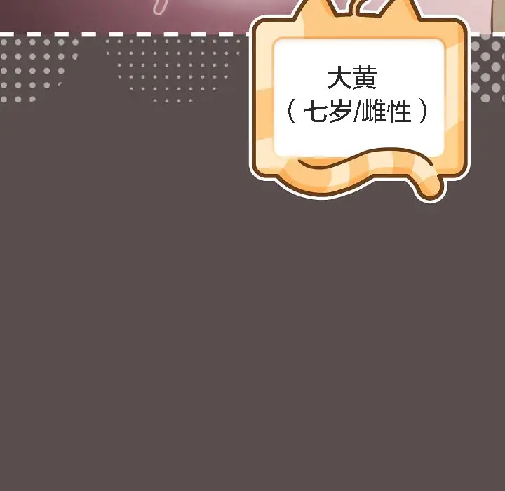 漫画《猫猫牵红线》第7话第19张图