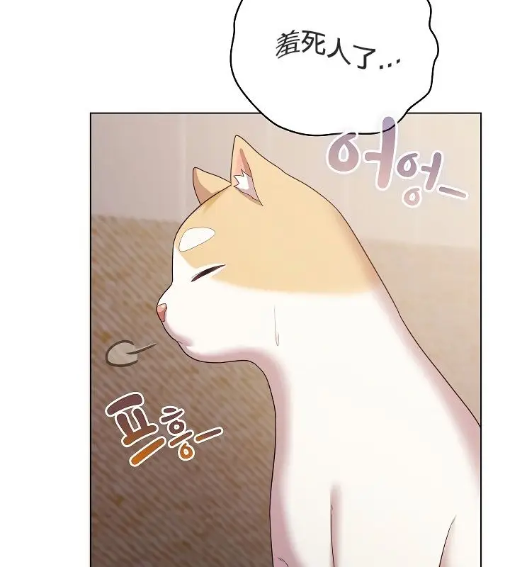 漫画《猫猫牵红线》第11话第114张图