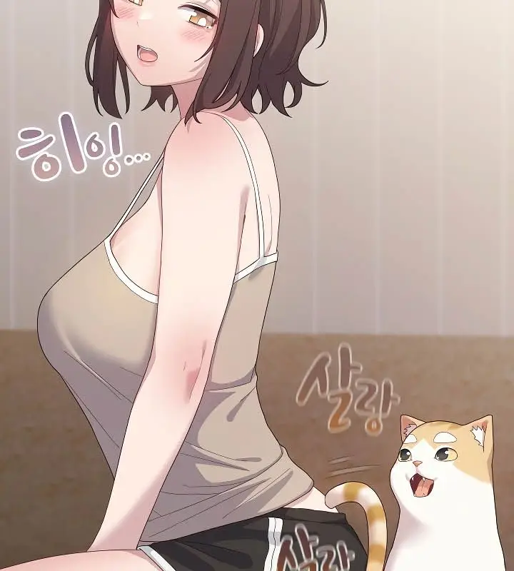 漫画《猫猫牵红线》第11话第26张图