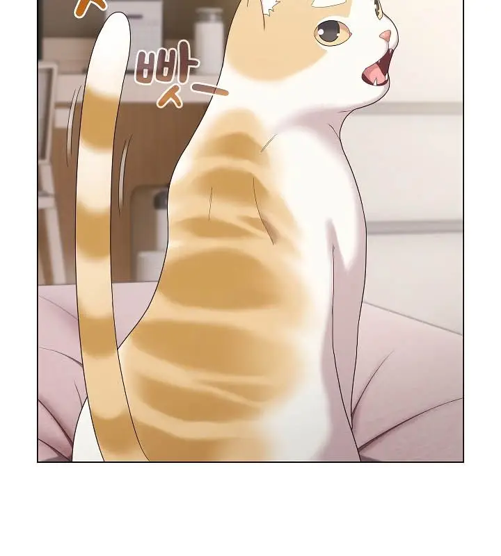 漫画《猫猫牵红线》第11话第29张图
