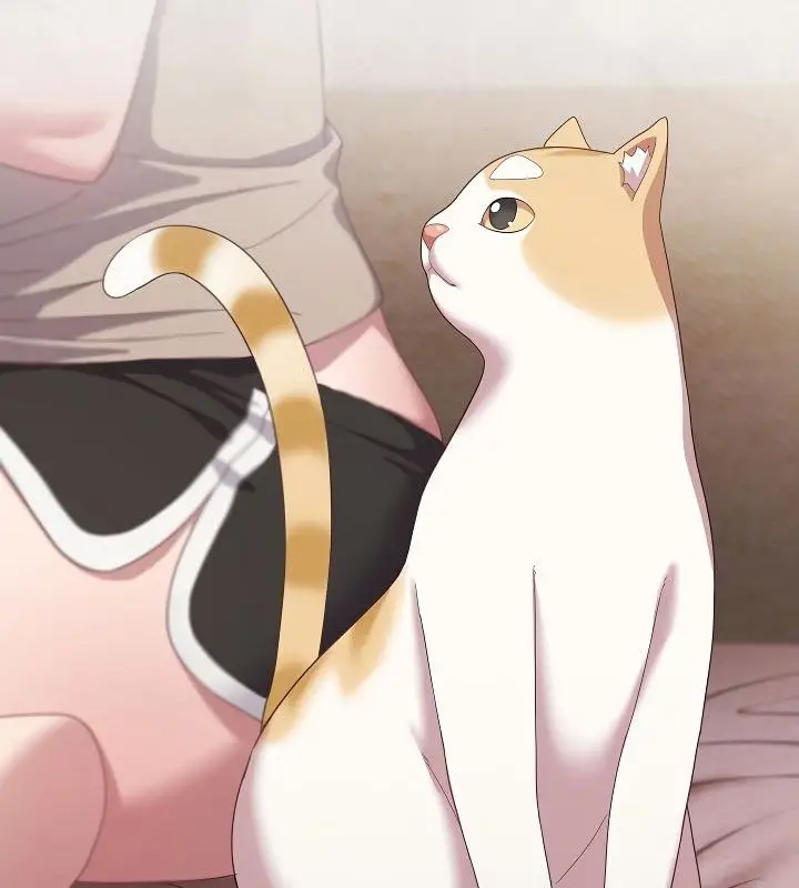 漫画《猫猫牵红线》第11话第87张图