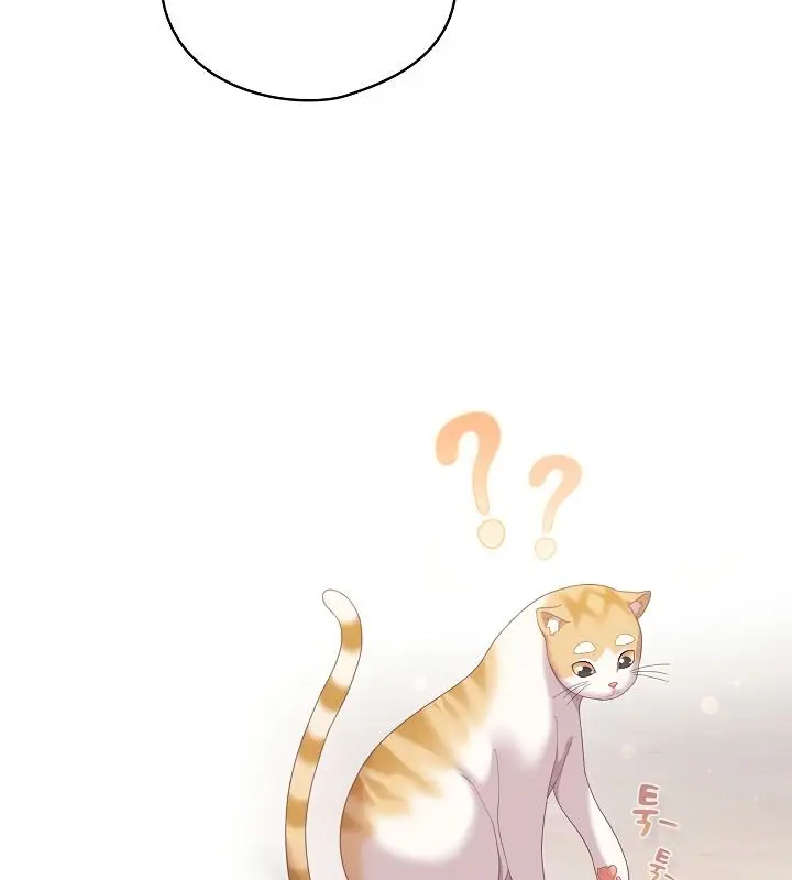 漫画《猫猫牵红线》第13话第100张图