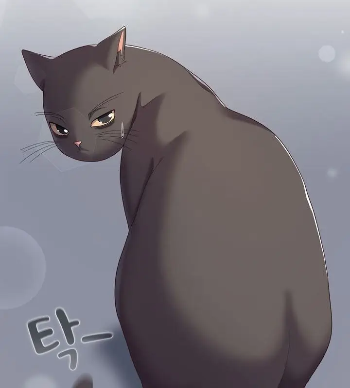 漫画《猫猫牵红线》第13话第15张图