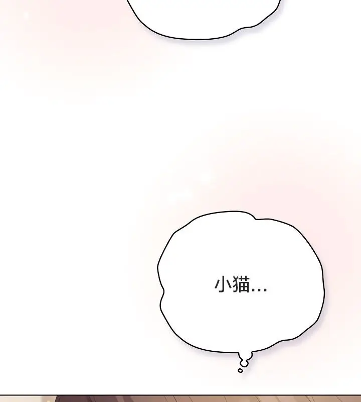 漫画《猫猫牵红线》第13话第41张图