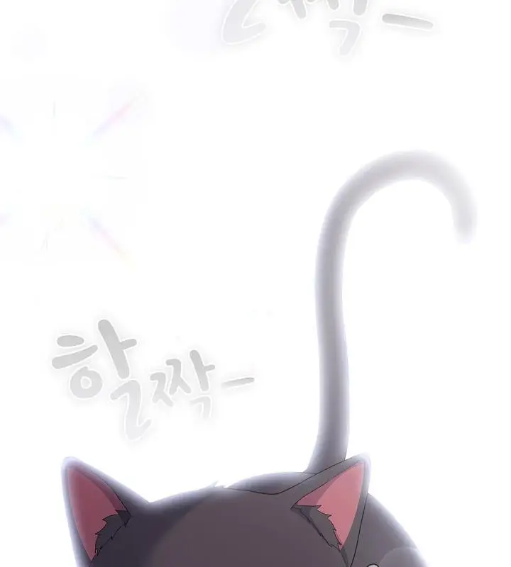 漫画《猫猫牵红线》第14话第67张图