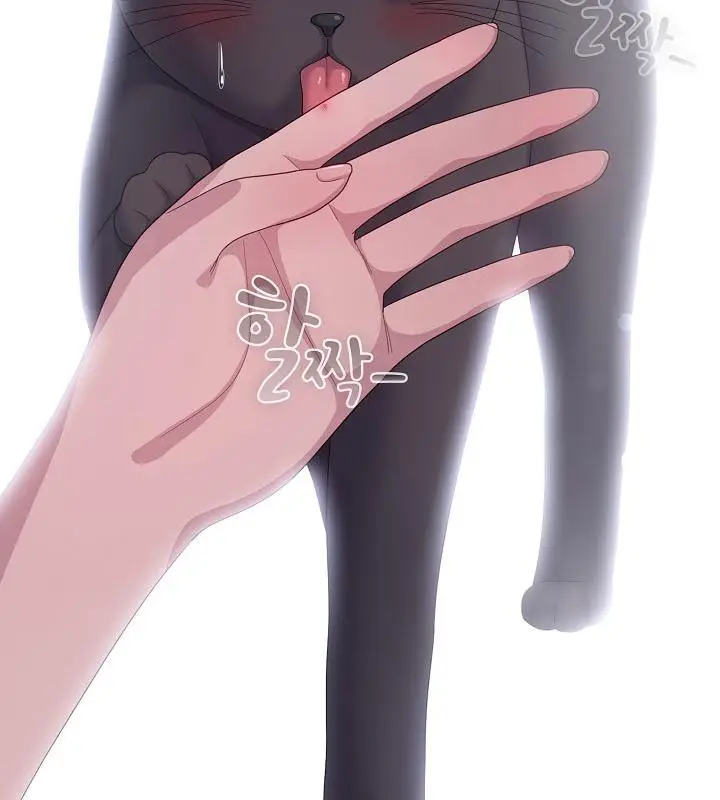 漫画《猫猫牵红线》第14话第69张图