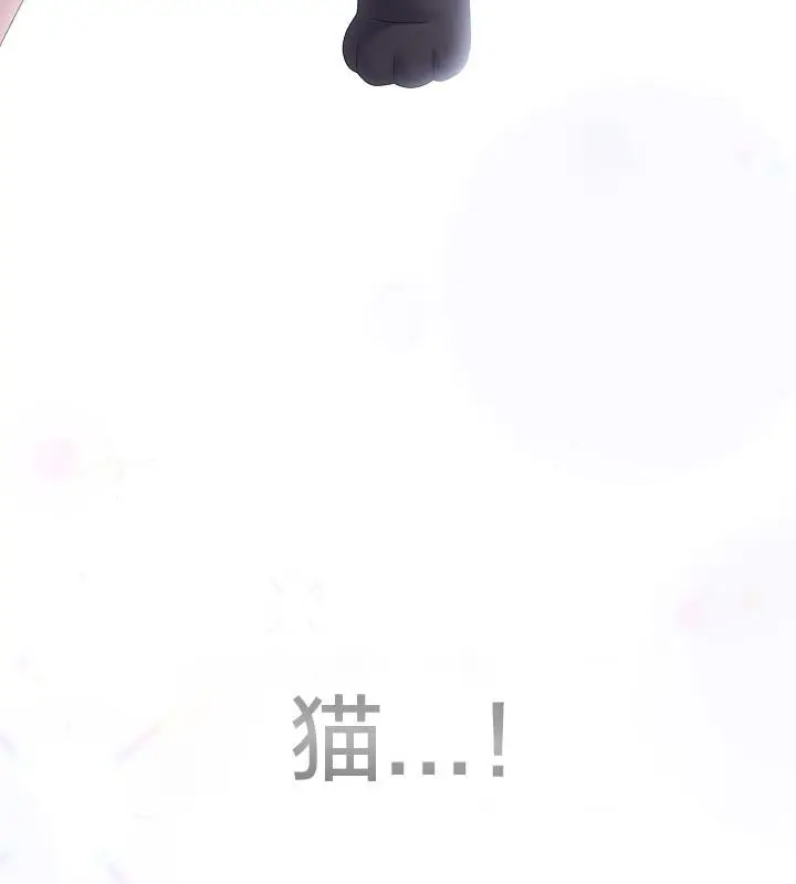 漫画《猫猫牵红线》第14话第70张图