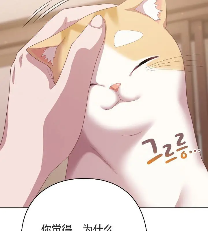 漫画《猫猫牵红线》第18话第129张图