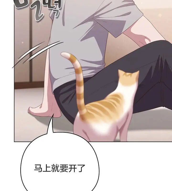 漫画《猫猫牵红线》第18话第137张图