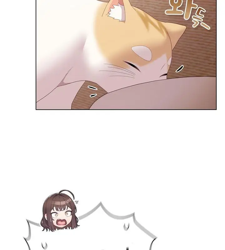 漫画《猫猫牵红线》第18话第18张图