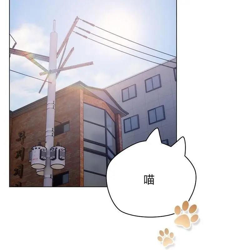 漫画《猫猫牵红线》第18话第4张图