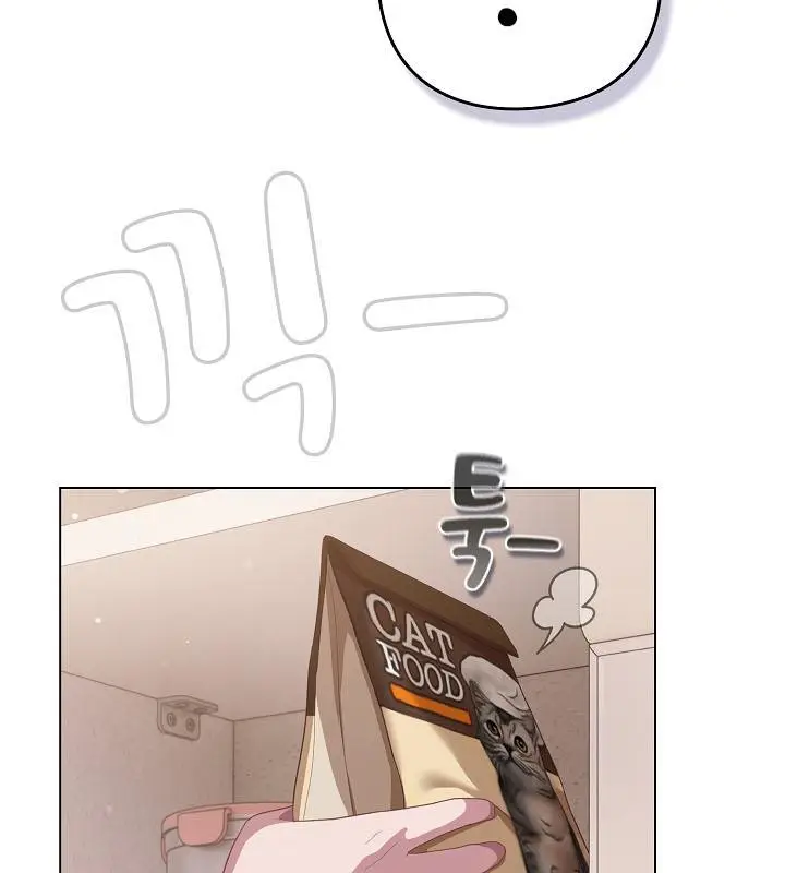 漫画《猫猫牵红线》第18话第43张图