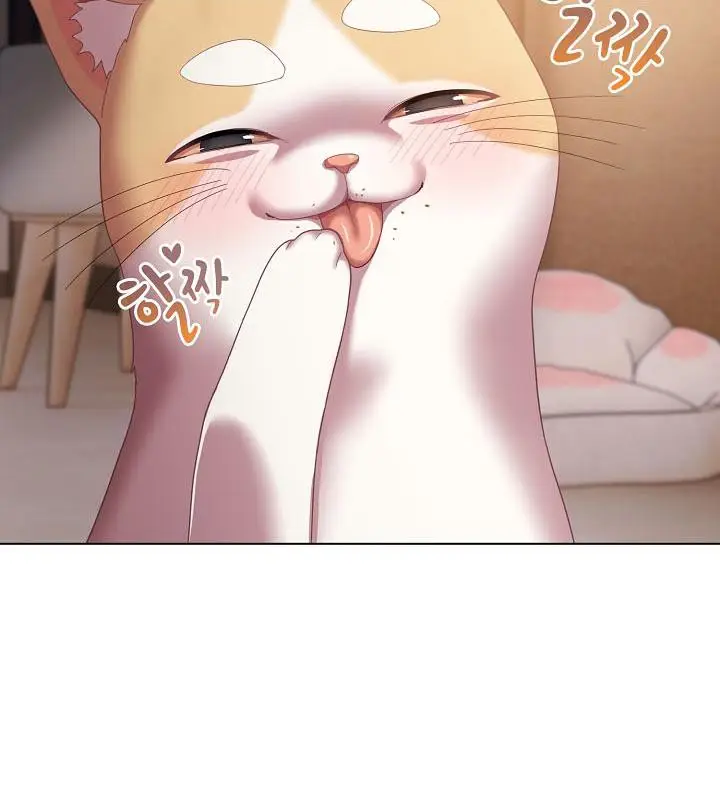 漫画《猫猫牵红线》第18话第67张图