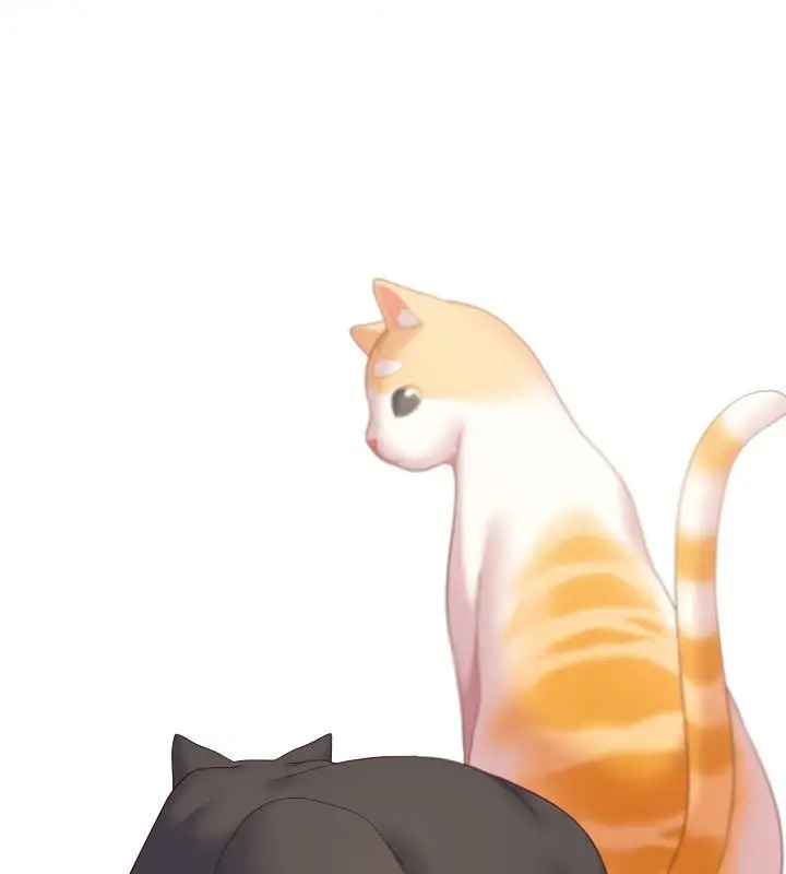 漫画《猫猫牵红线》第19话第73张图