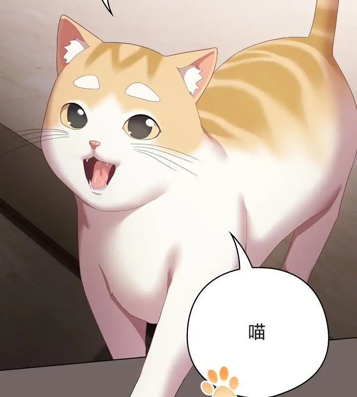 漫画《猫猫牵红线》第20话第160张图