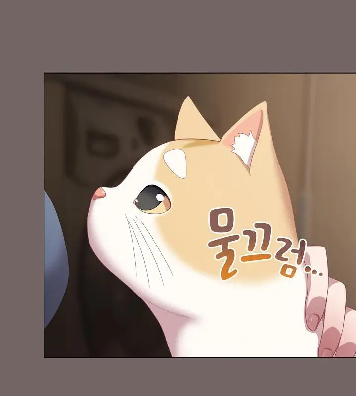漫画《猫猫牵红线》第20话第166张图