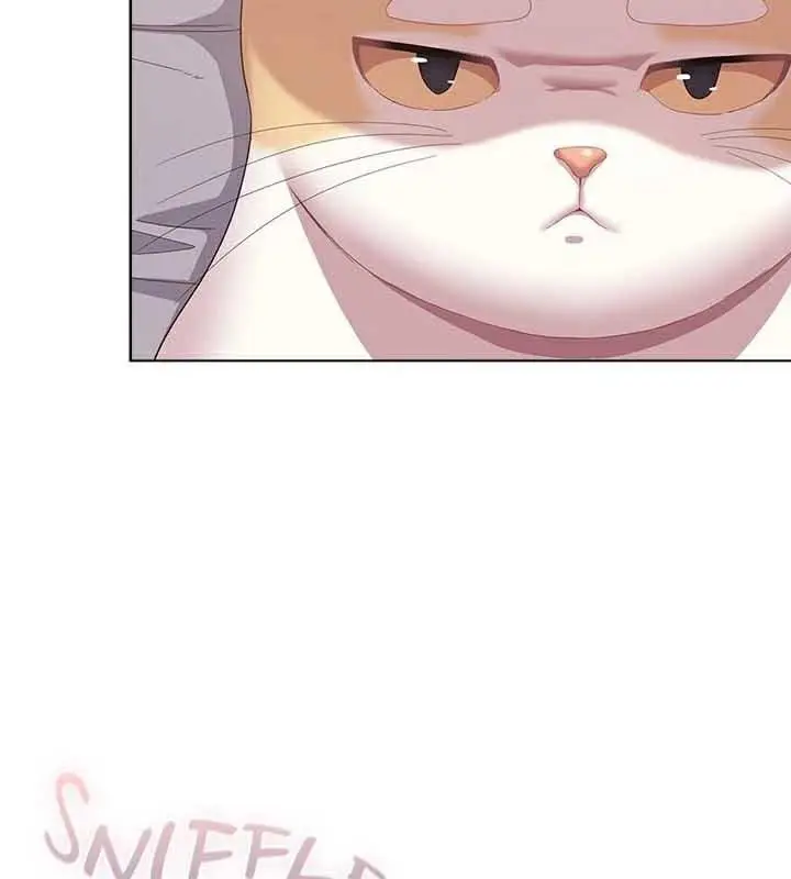 漫画《猫猫牵红线》第23话第52张图