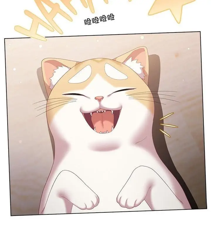 漫画《猫猫牵红线》第24话第4张图