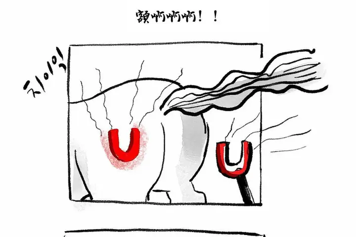 漫画《性教育》第48话第503张图