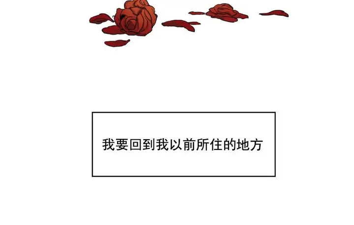 漫画《夫人的礼物》第48话第83张图