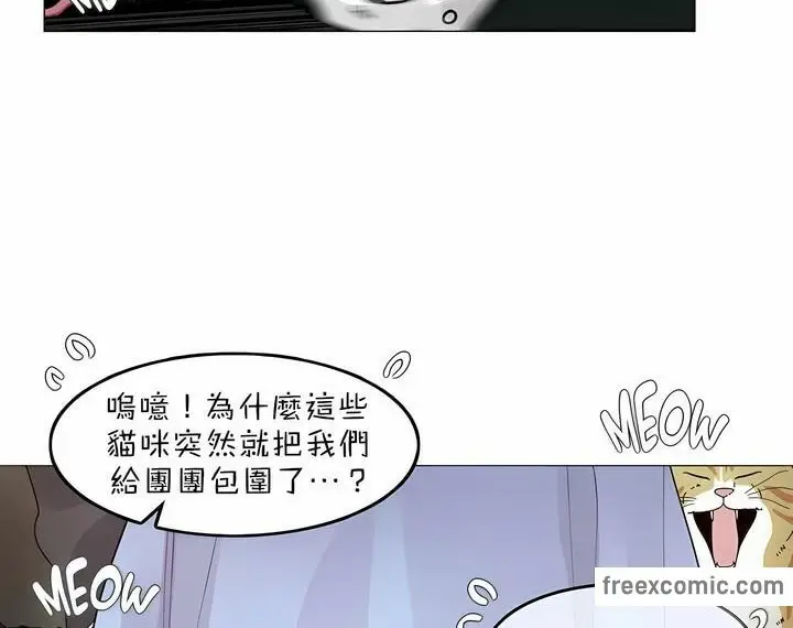 漫画《一个变态的日常生活》第83话第37张图