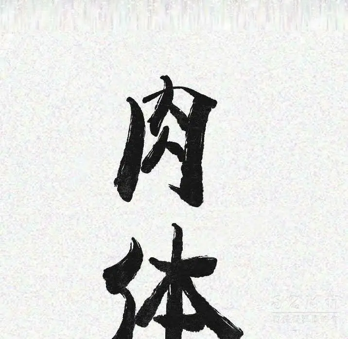 漫画《肉体》第11话第14张图