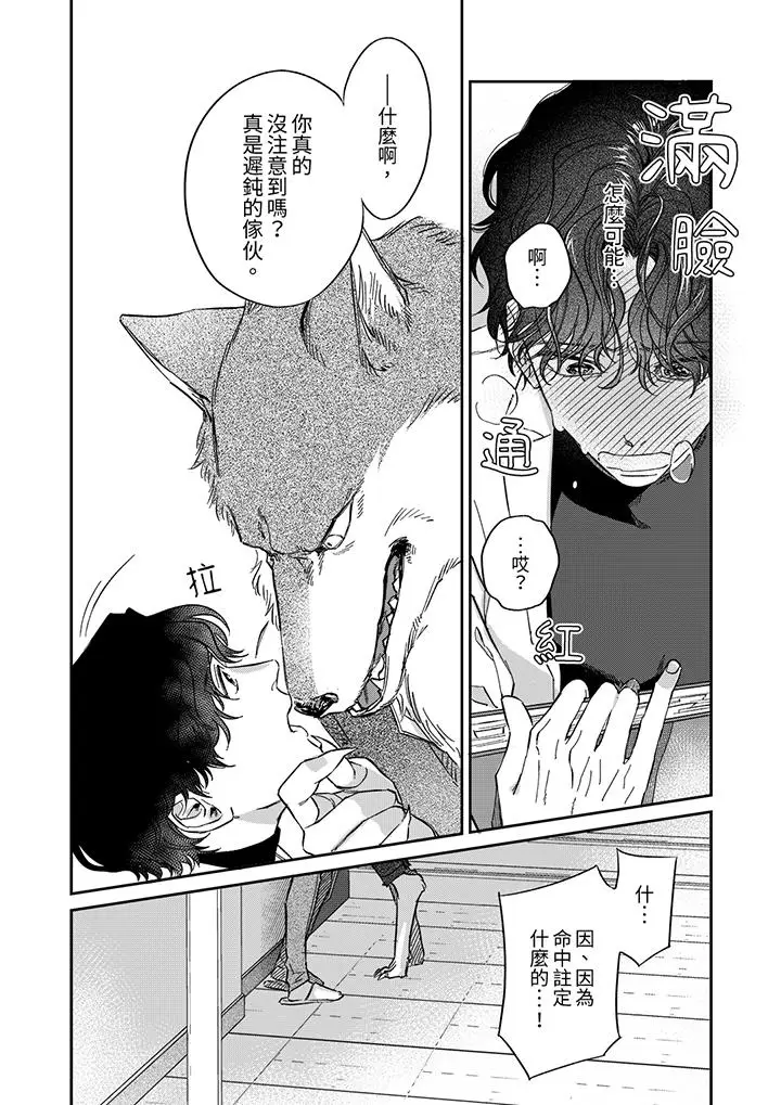 漫画《狼大人专情的霸道之爱》第4话第5张图