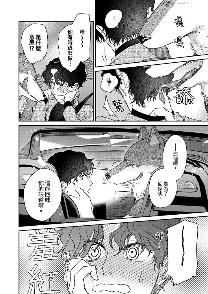 漫画《狼大人专情的霸道之爱》第8话第13张图