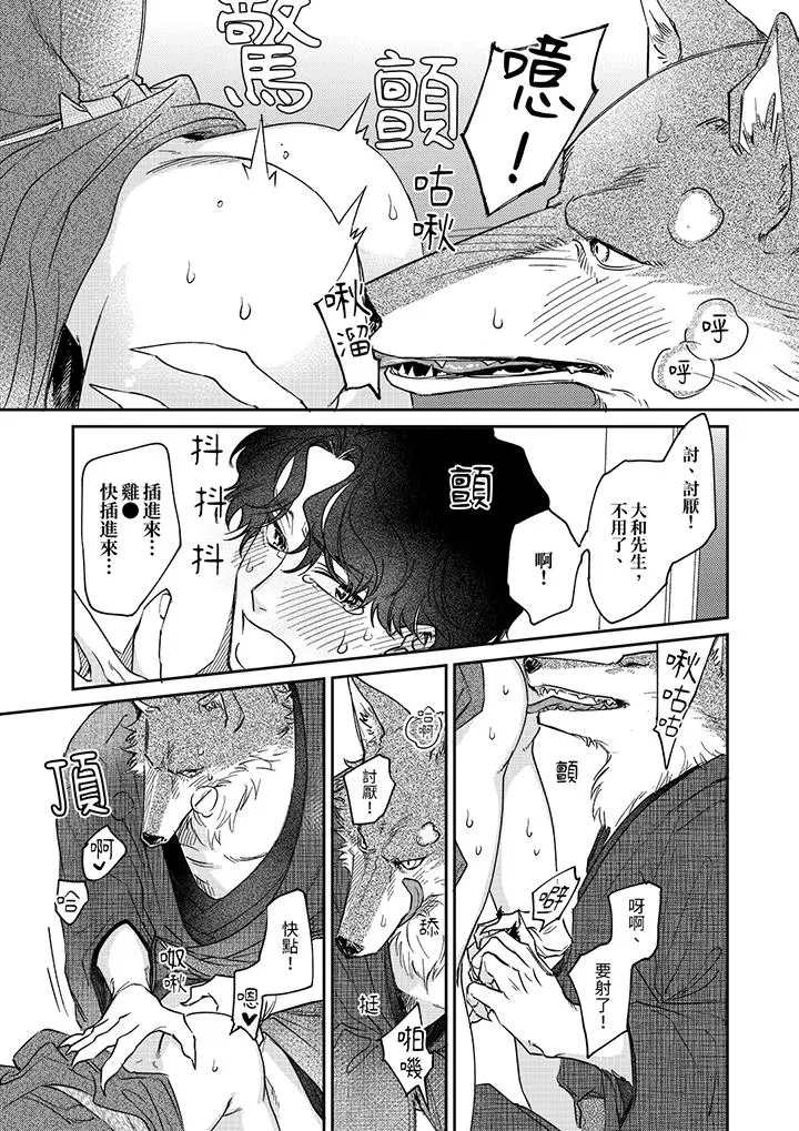 漫画《狼大人专情的霸道之爱》第14话最终话第12张图