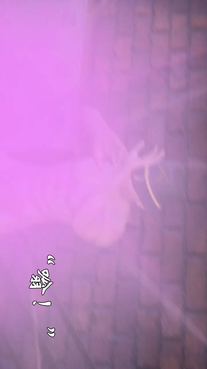 漫画《[3D]为所欲为》48第12张图