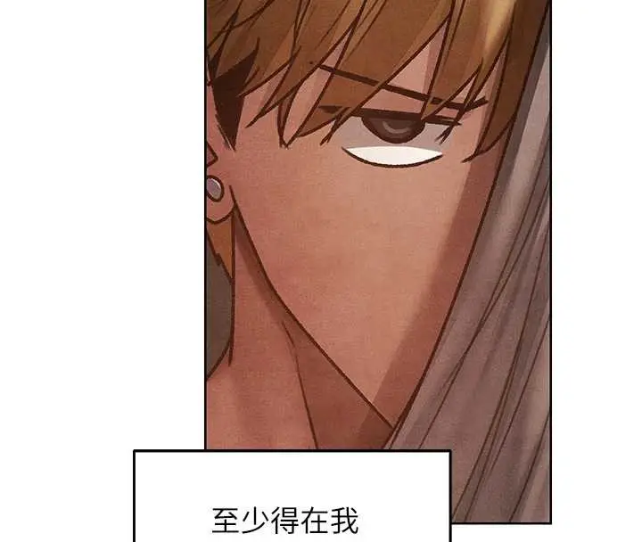 漫画《异界猎妻人》第119话第99张图