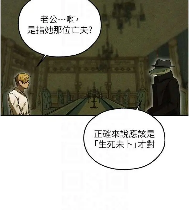 漫画《异界猎妻人》第95话第106张图