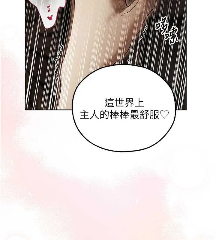 漫画《异界猎妻人》第107话第61张图