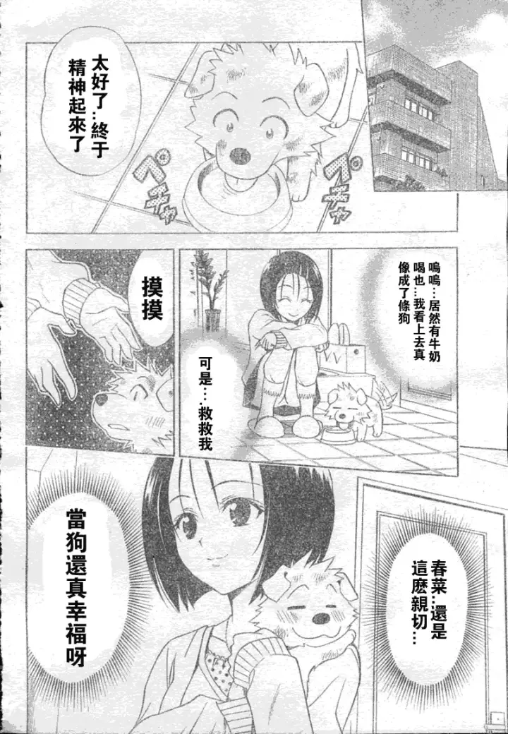 漫画《出包王女》tolove043第18张图