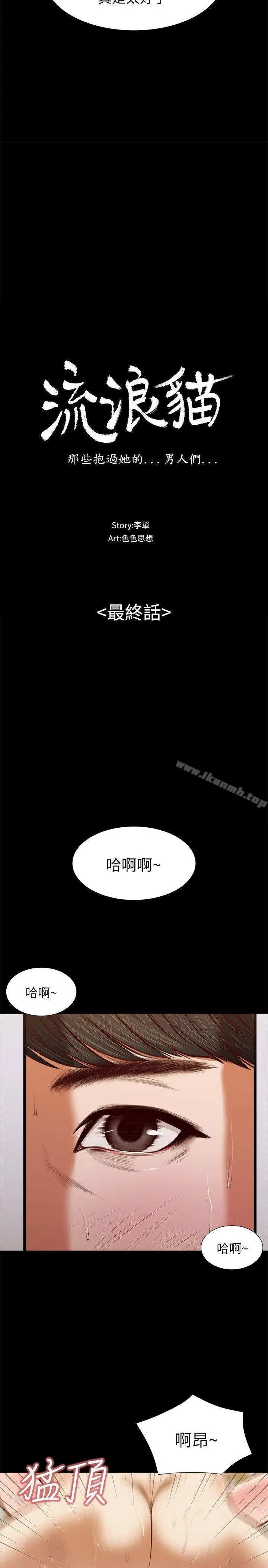 漫画《流浪猫》最终话第3张图