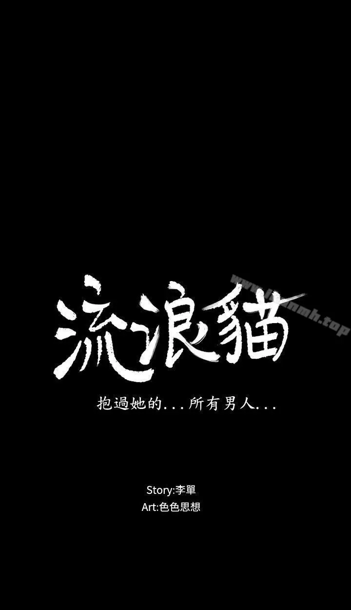 漫画《流浪猫》第6话第3张图